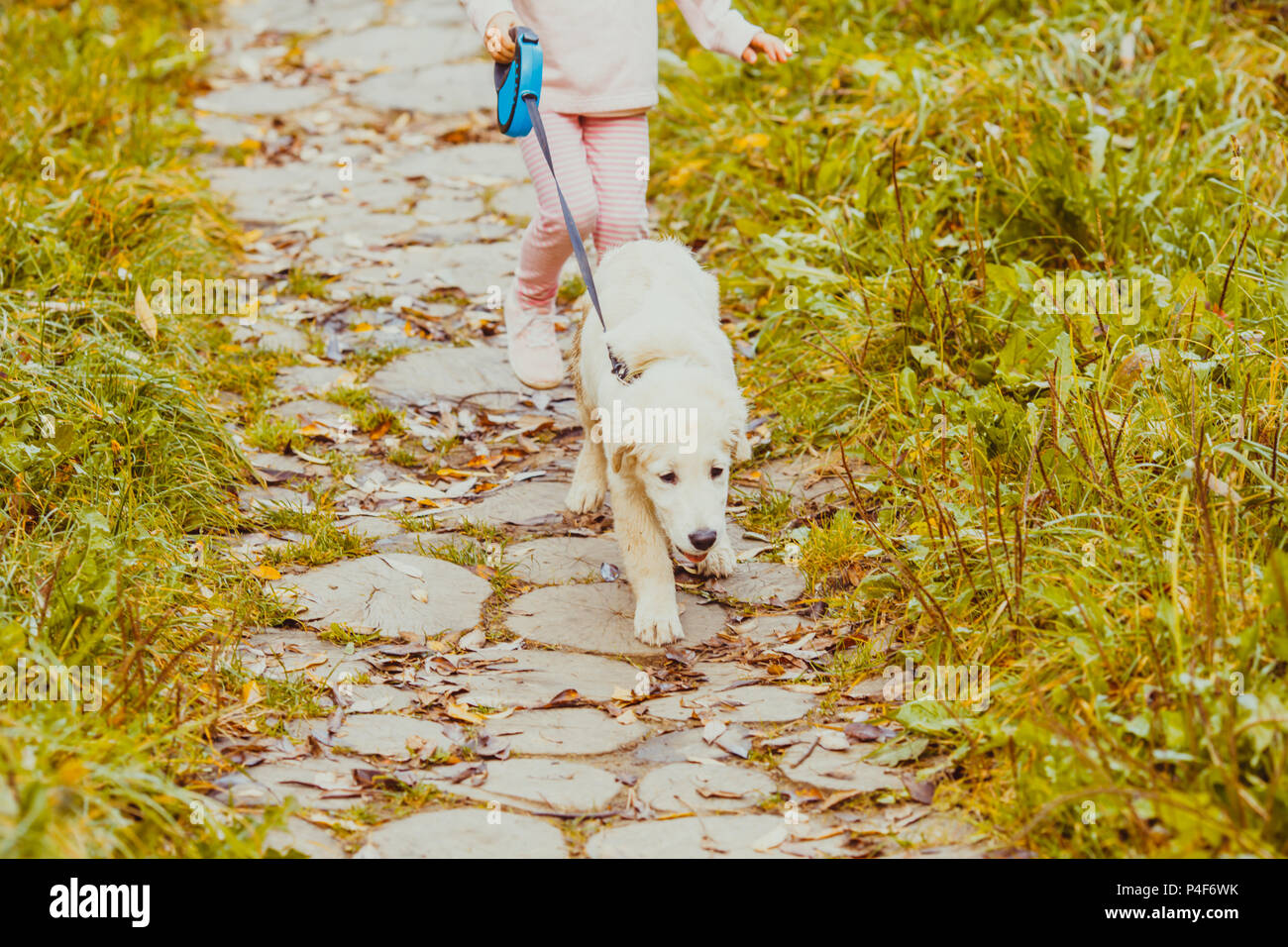 The girl and her golden retriever dog Stock Photo - Alamy