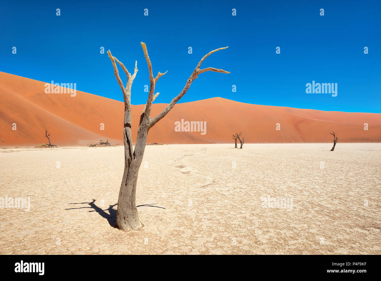 Deadvlei in namibia flat hi-res stock photography and images - Alamy