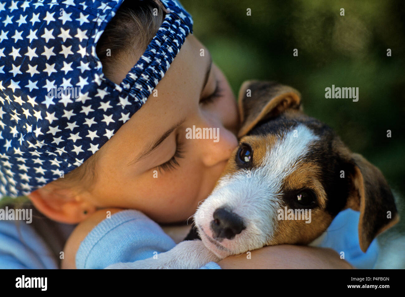 Jack Russell Terrier with young girl hugging her new puppy. Stock Photo