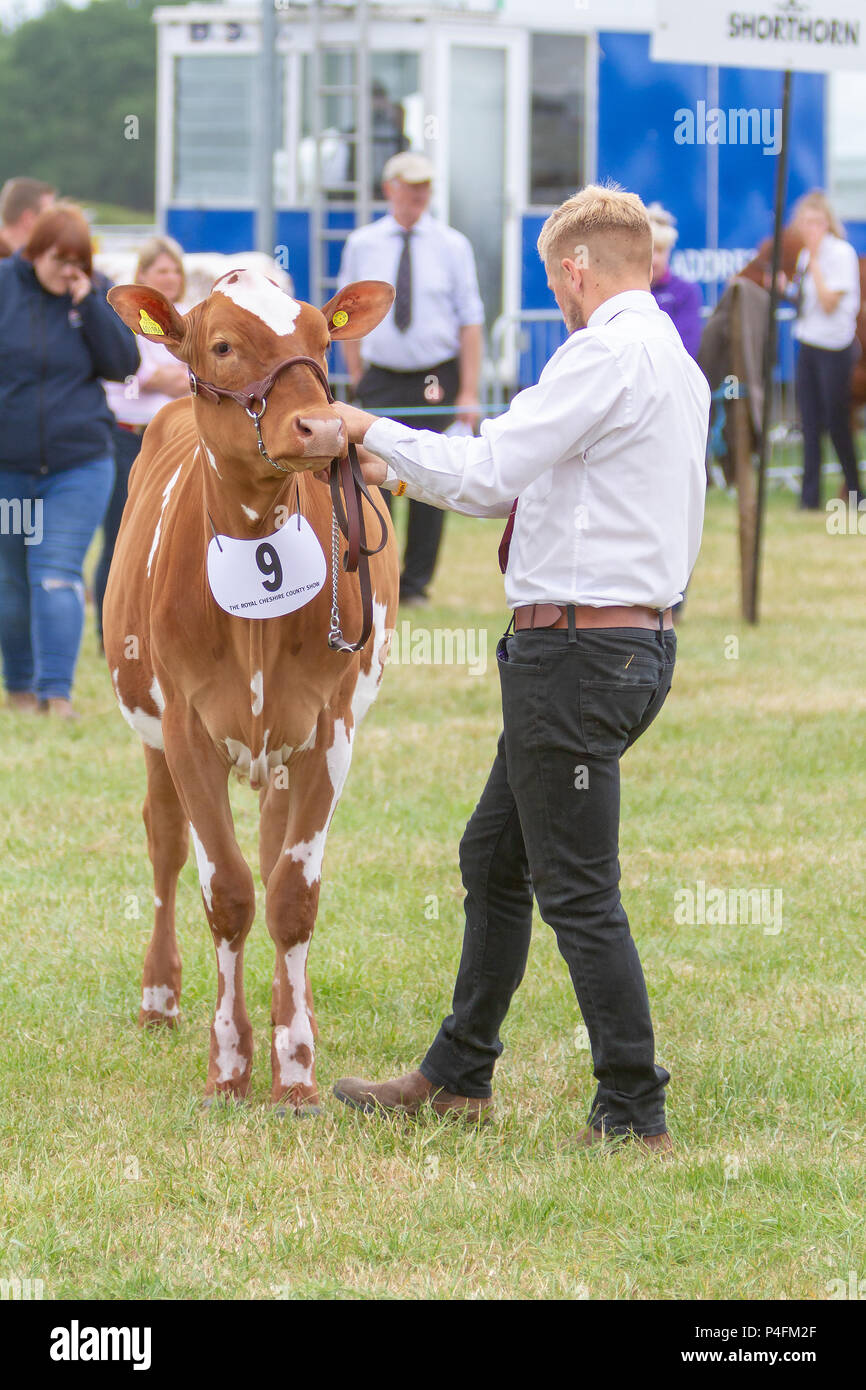 19 & 20th June 2018 - The Cheshire Showground at Clay House Farm ...