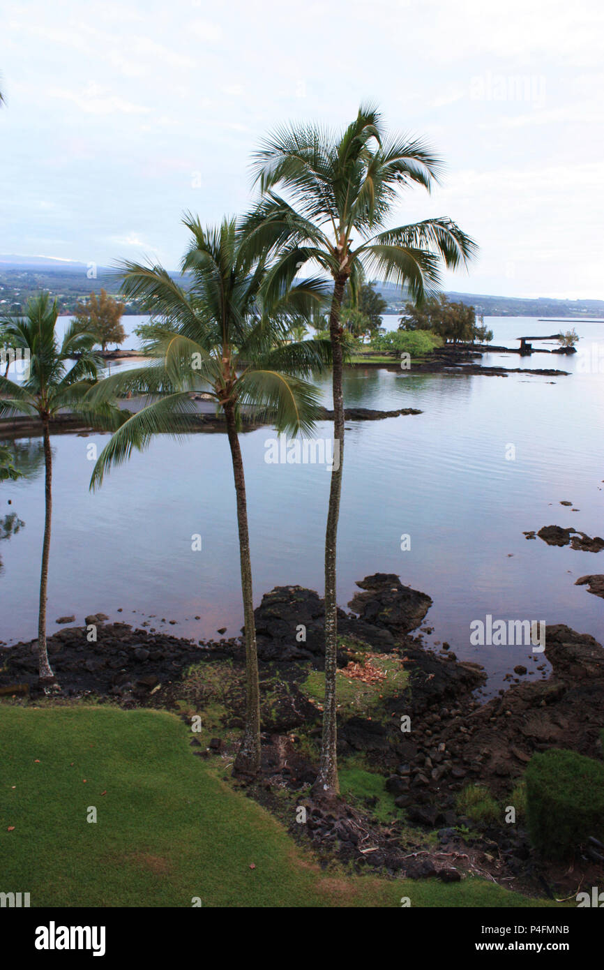 Palm trees outlining Hilo Bay at low tide in Hilo, Hawaii Stock Photo