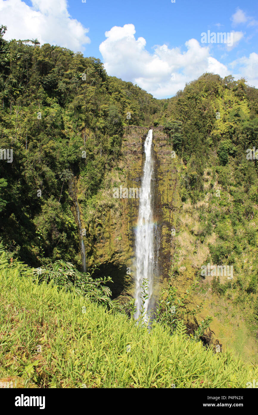 Double waterfall with a rainbow crossing the cascading water in a rainforest at Akaka Falls