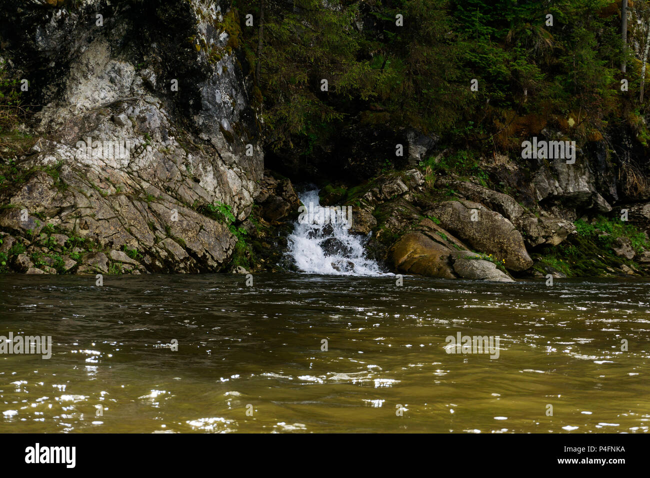 The spring follows a waterfall from the rock and flows into the river ...