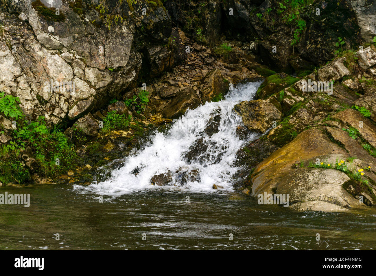 The spring follows a waterfall from the rock and flows into the river on a precipitous river bank Stock Photo