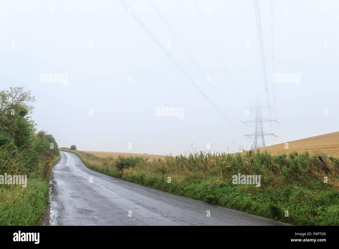 Electricity pylon looming from a wheat field by a country road in Dorset, UK, on a damp and misty day Stock Photo