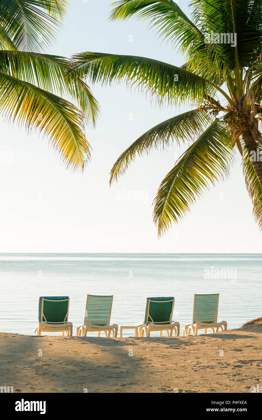 Tropical island with palm trees hi-res stock photography and images - Alamy
