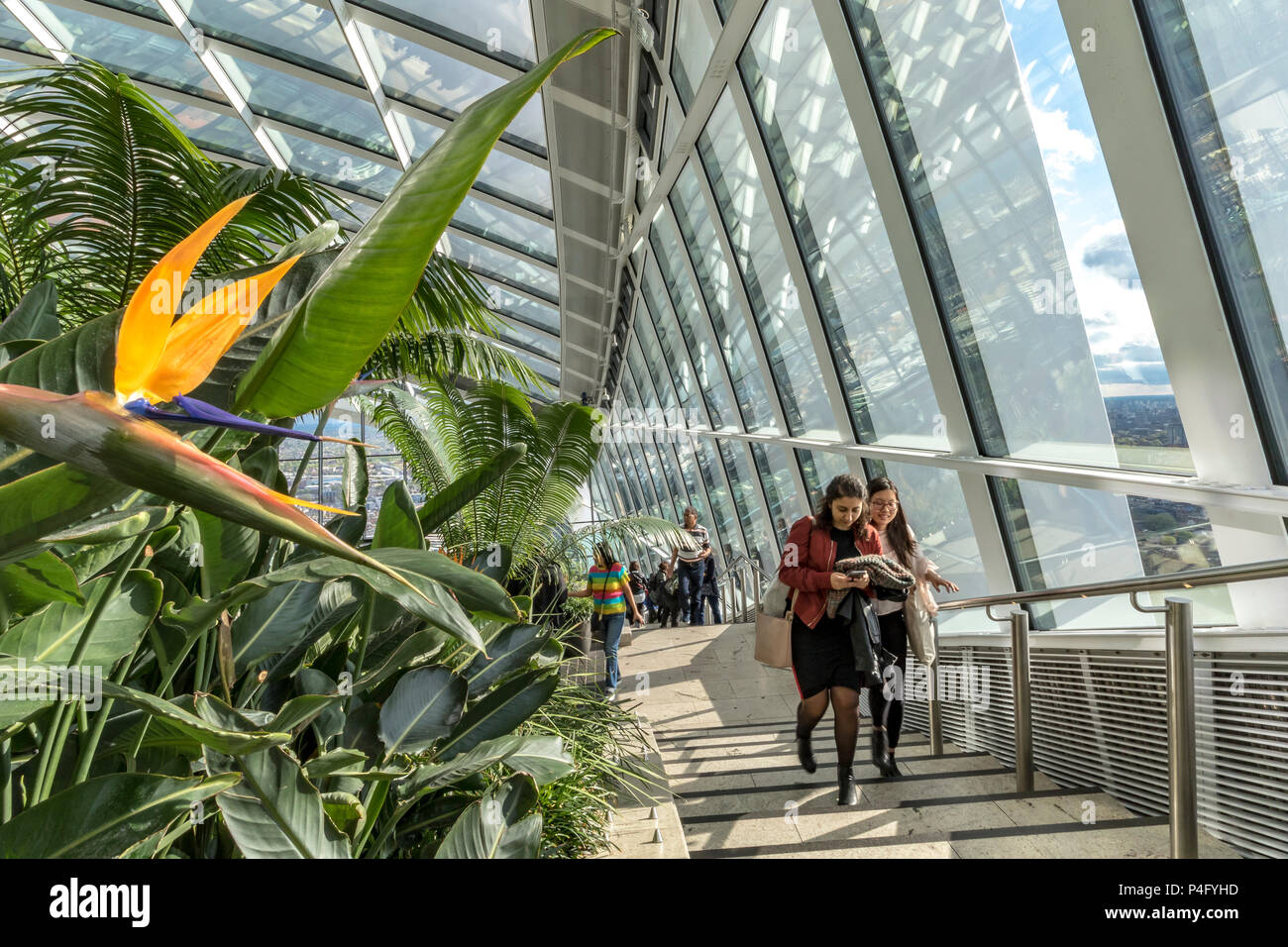 People at The Sky Garden at The top of 20 Fenchurch St or The Walkie Talkie Building in The City Of London, London ,UK Stock Photo