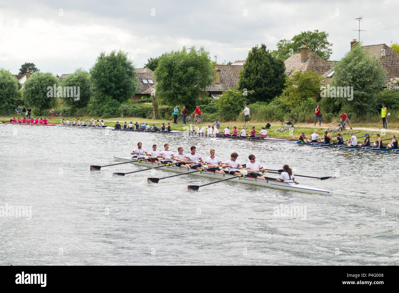 Mens boat crew on the river Cam taking part in The Bumps row boat regatta in Summer, Cambridge, UK Stock Photo