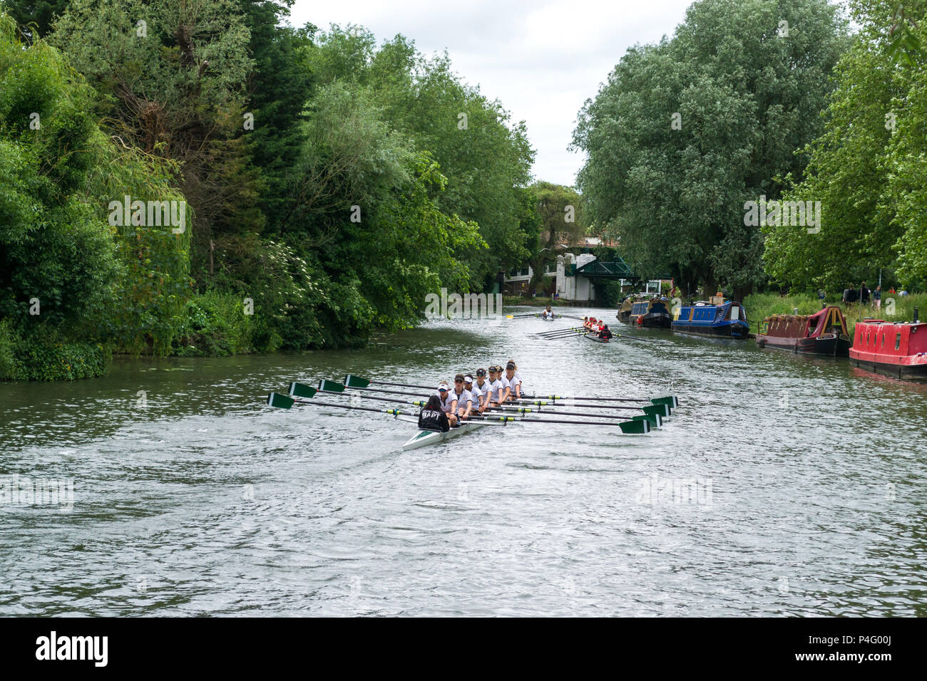 Female boat crew on the river Cam taking part in The Bumps row boat regatta in Summer, Cambridge, UK Stock Photo