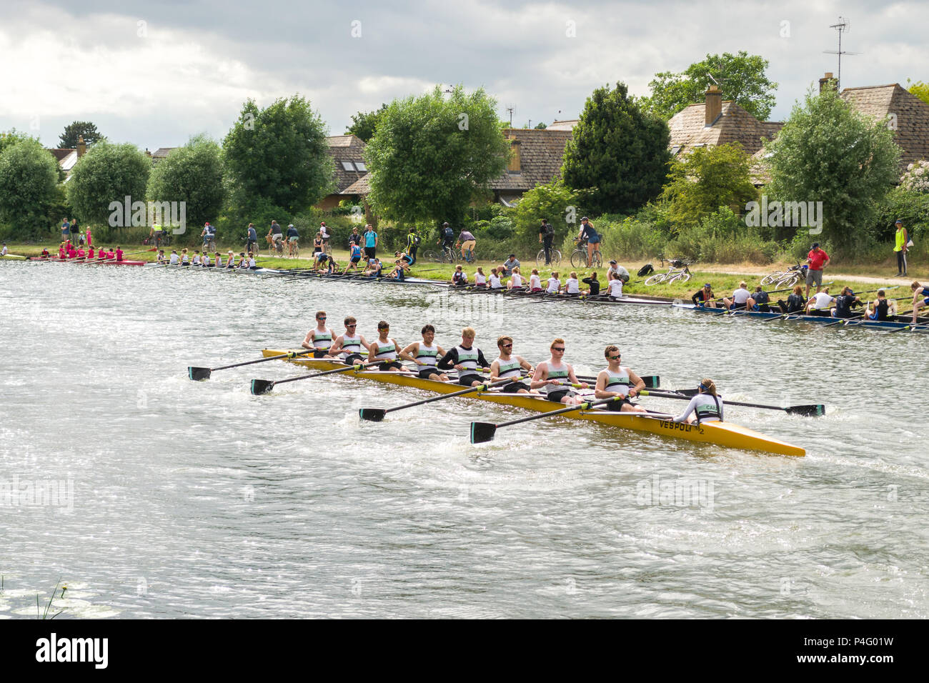 Mens boat crew on the river Cam taking part in The Bumps row boat regatta in Summer, Cambridge, UK Stock Photo