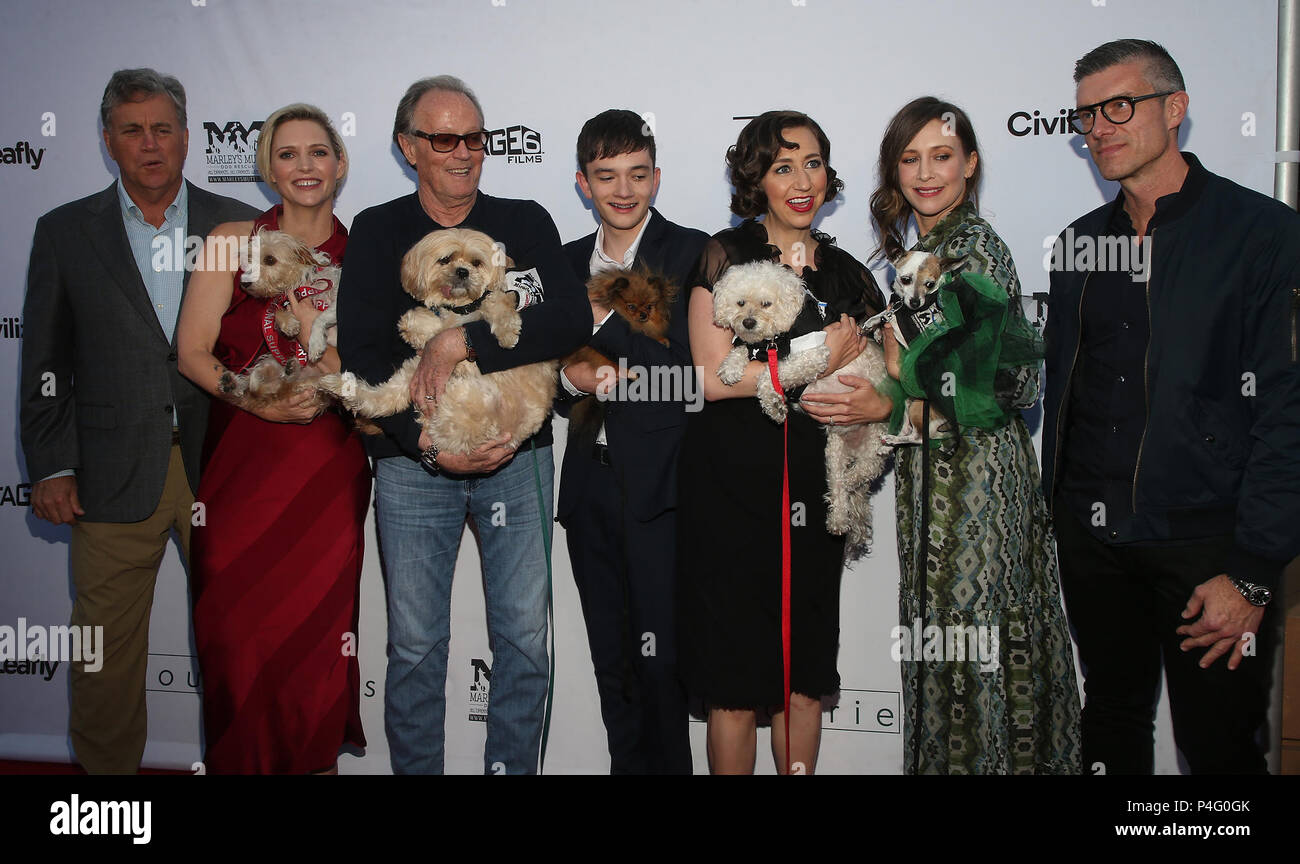 Hollywood, California, USA. 19th June, 2018. 19 June 2018 - Hollywood
