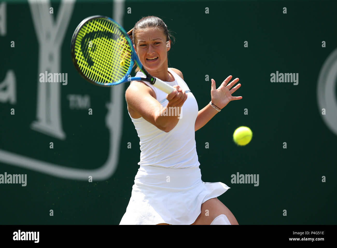 Jakupovic tennis hi-res stock photography and images - Alamy