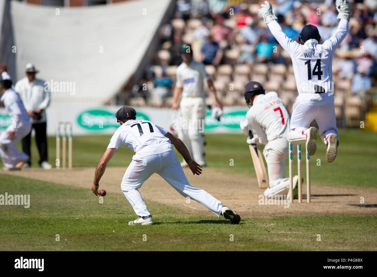 St Helen's, Swansea, Wales, UK. Friday 22 June 2018.  Glamorgan batsman Jack Murphy is out LBW to the bowling of Hamidullah Qadri on Day 3 of Glamorgan's match with Derbyshire Credit: Gruffydd Thomas/Alamy Live News Stock Photo