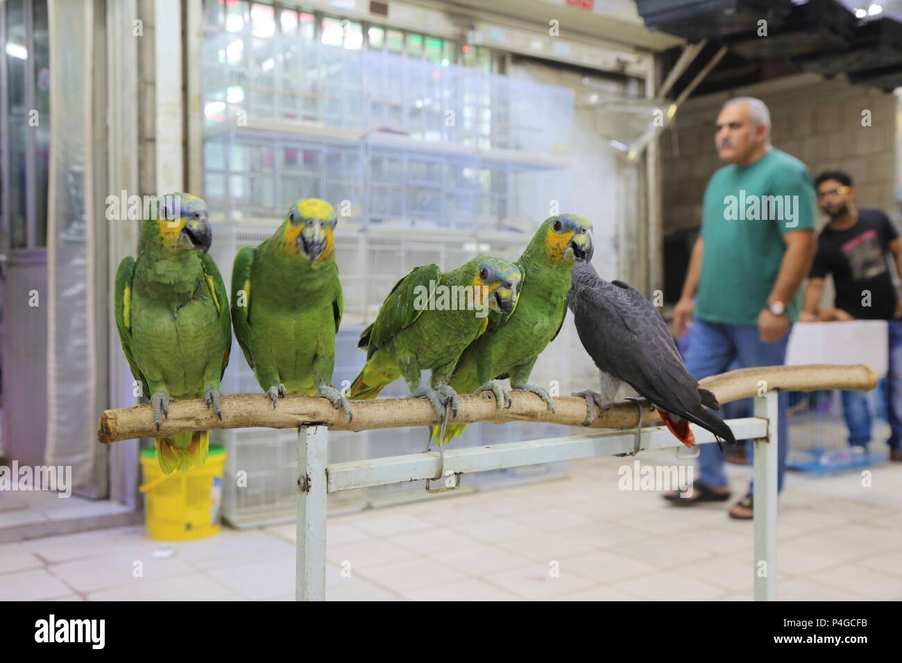 Friday market kuwait hires stock photography and images Alamy