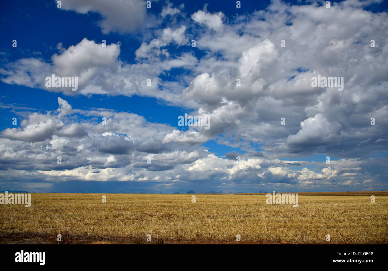 flat plains of cereal crops being farmed in queensland, australia Stock