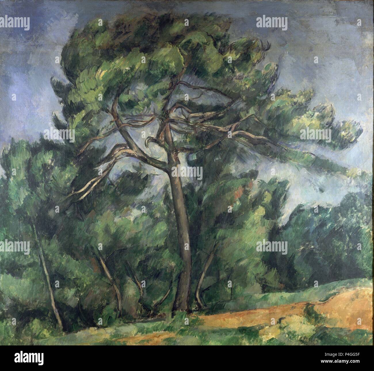'The Great Pine', 1892-1896, Oil on canvas, 89 x 70 cm. Author: Paul Cézanne (1839-1906). Location: MUSEO DE ARTE DE SAO PAULO ASSIS CHATEAUBRIAND, SAO PAULO, BRASILIEN. Stock Photo