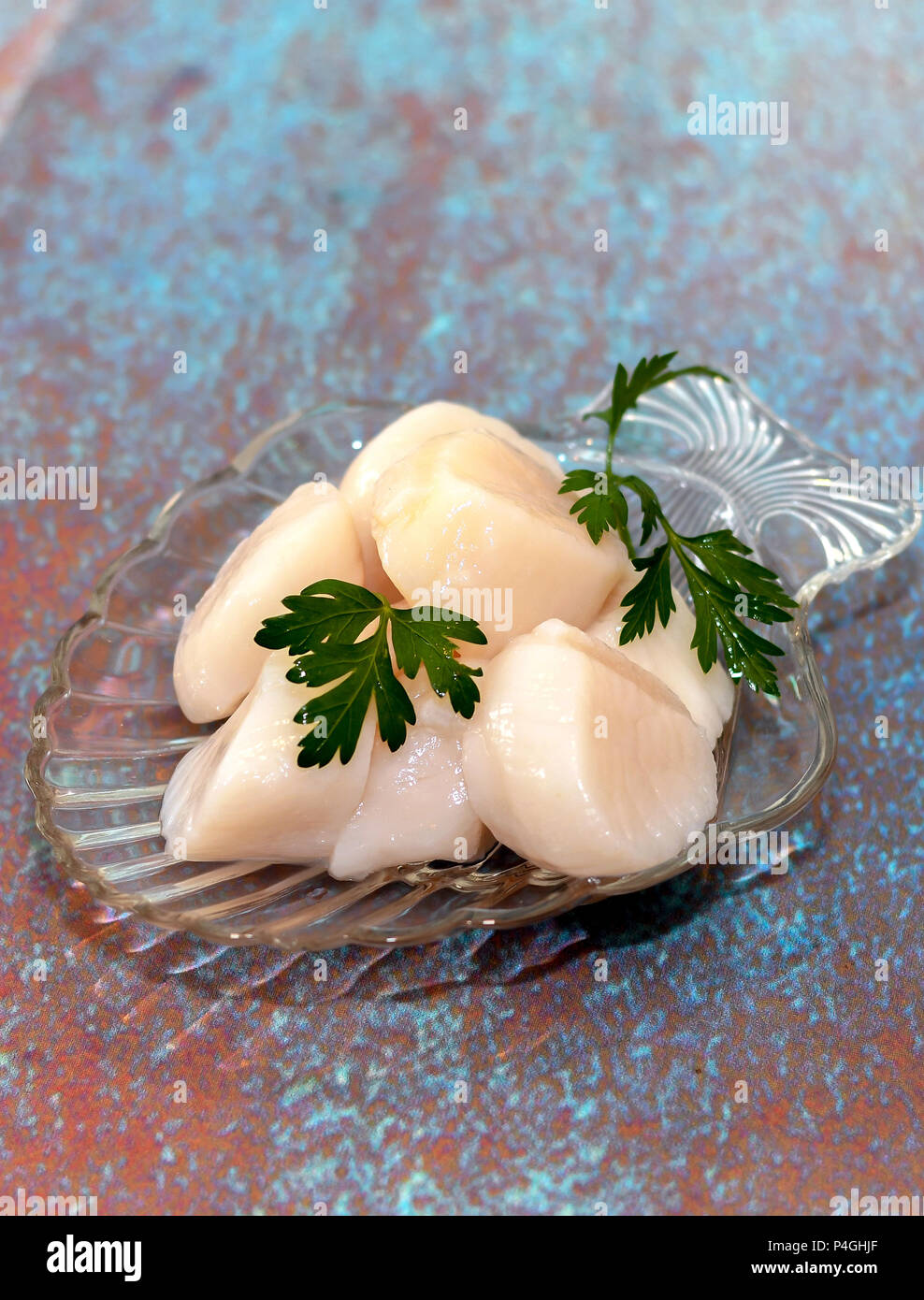 Raw sea scallops with sprigs of parsley Stock Photo Alamy