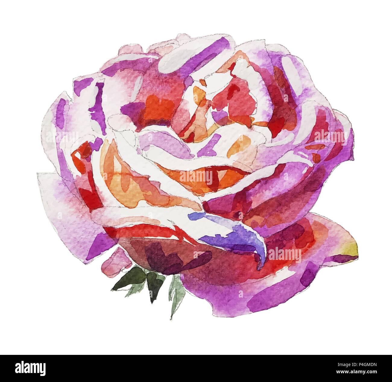 handmade watercolor rose isolated on white background Stock Vector ...