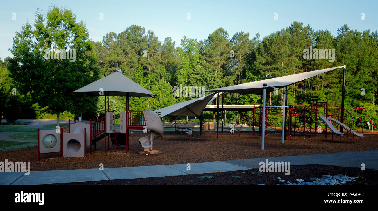 Mornign sunshine falls upon the trees by the playground at White Deer