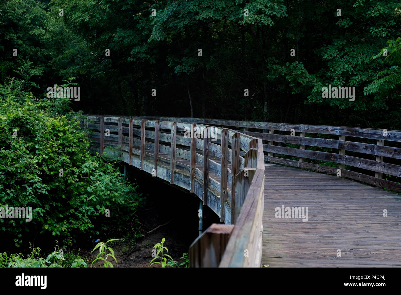 A footbridge along the greenway winds around the shrubbery at White
