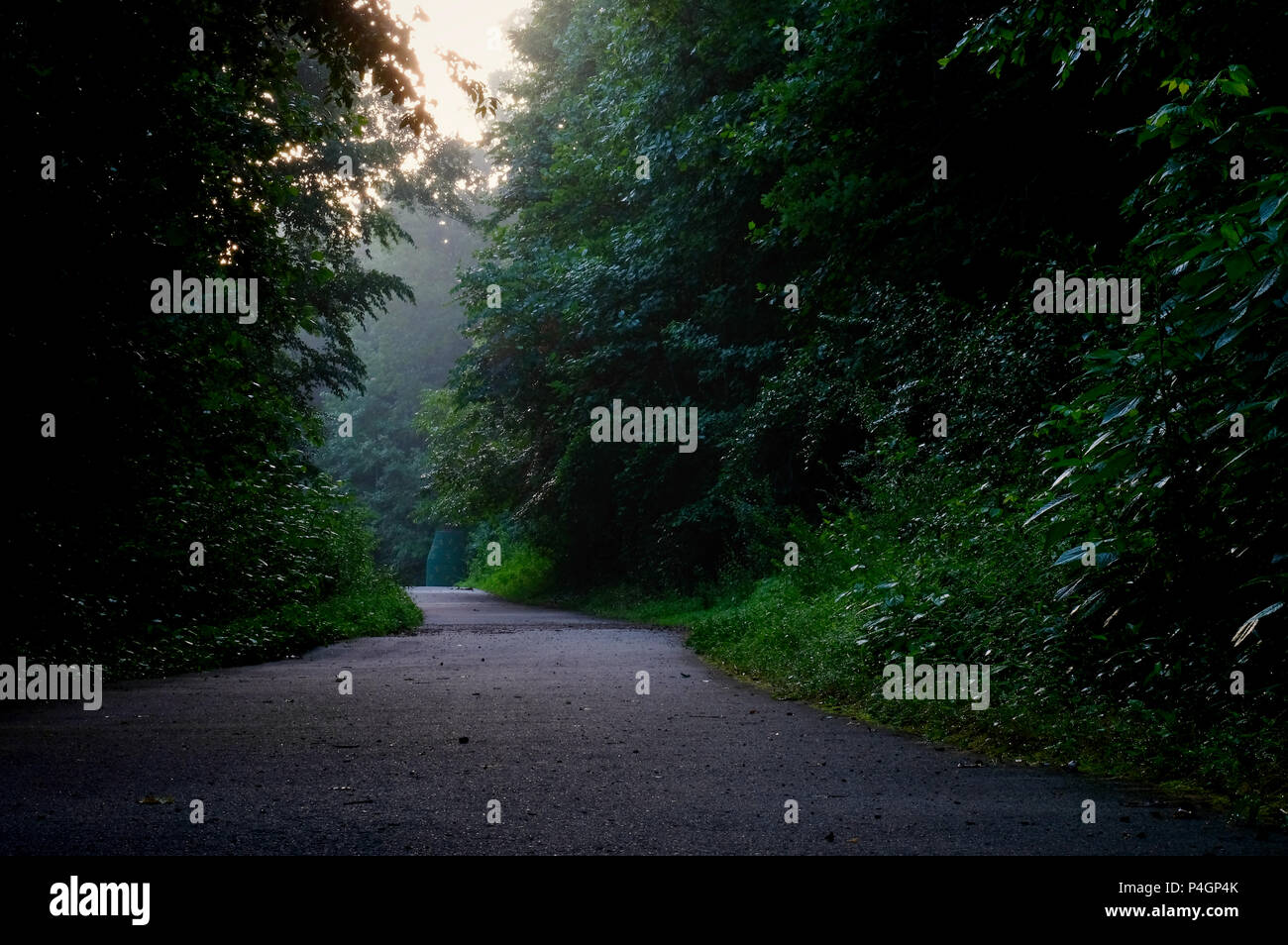 Hiking along the greenway on a humid summer morning at White Deer Park