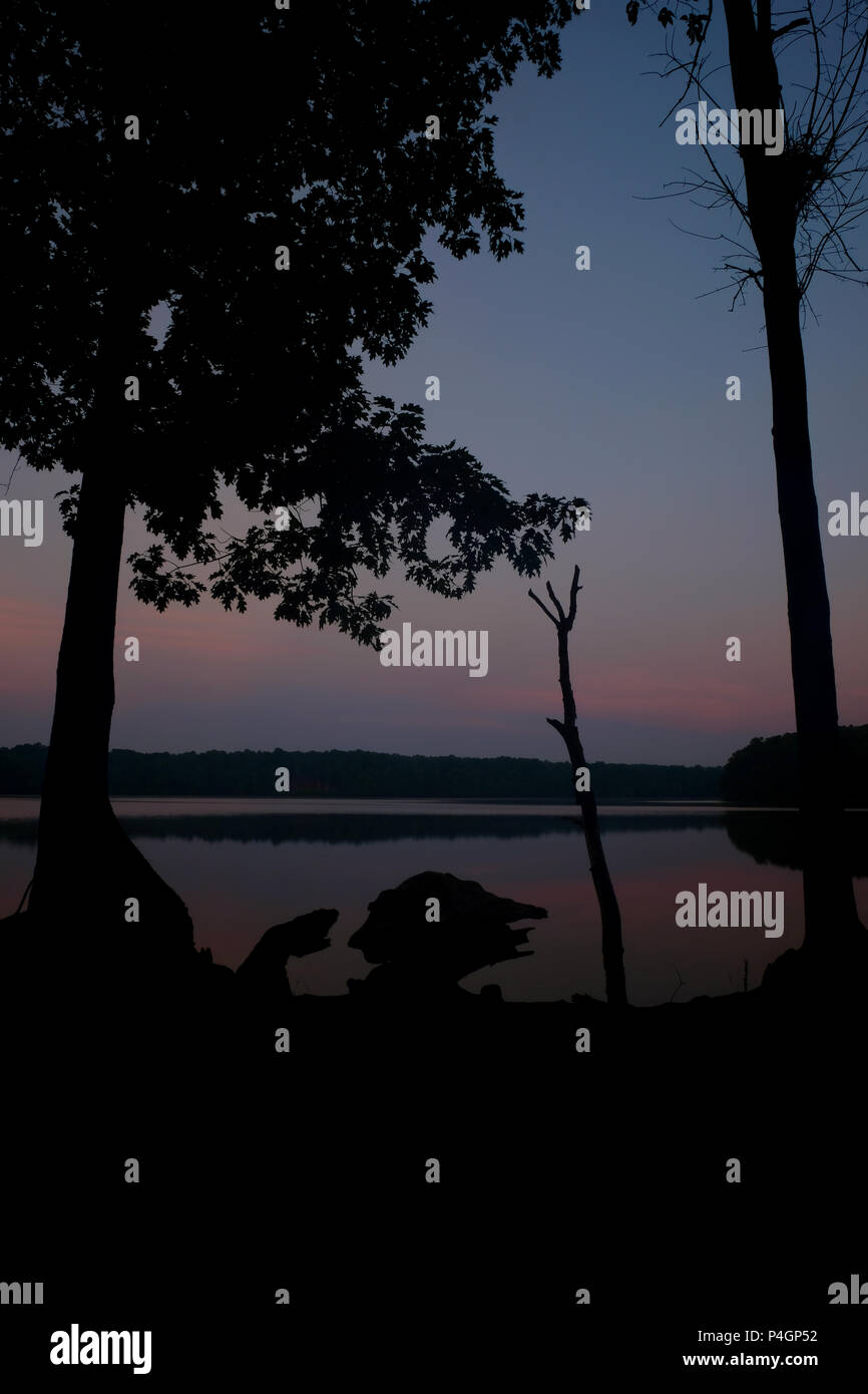 Trees silhouetted by the twilight sky and the lake's reflections early in the morning at Lake