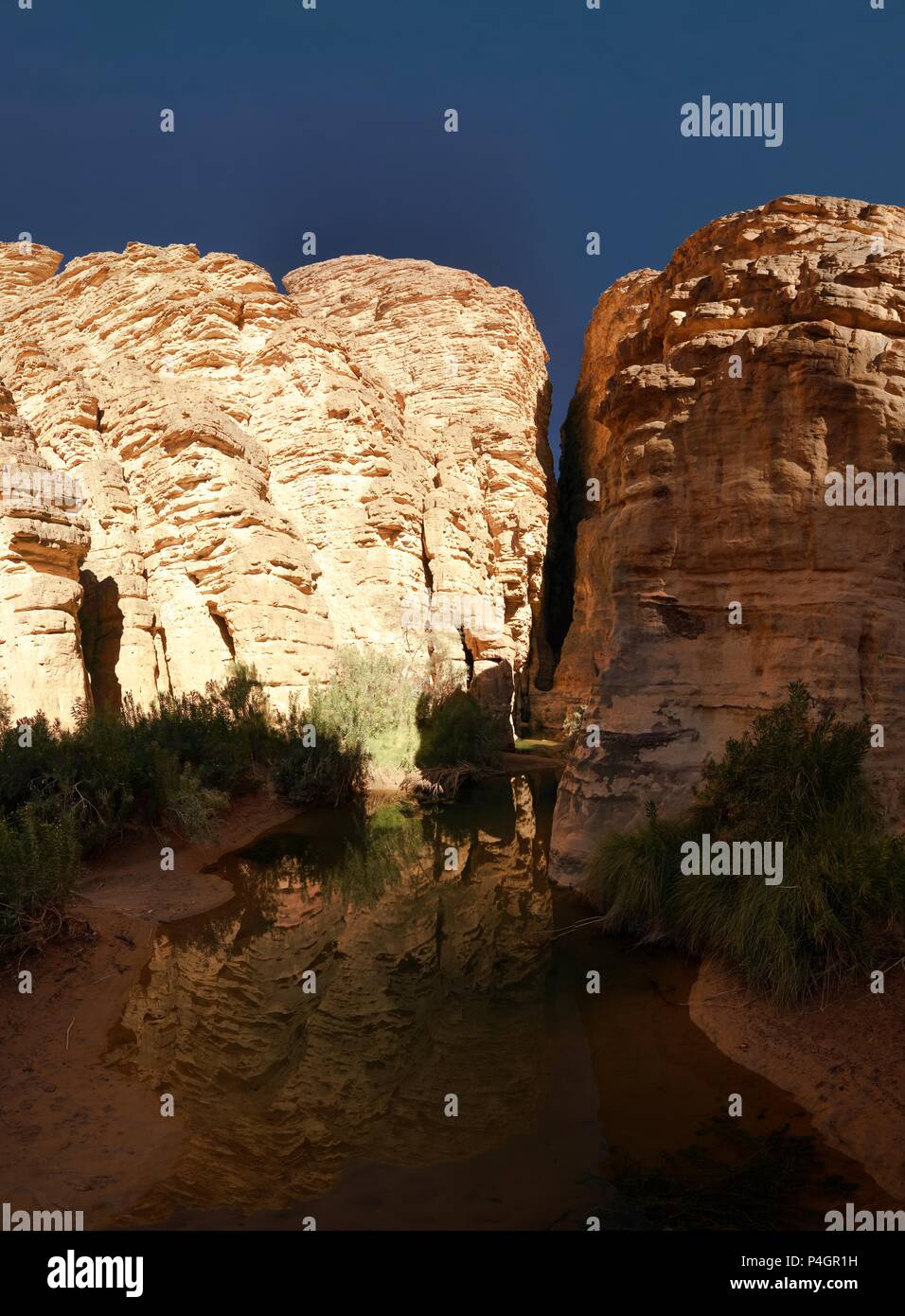 Bizzare rock formation at Essendilene in Tassili nAjjer national park ...