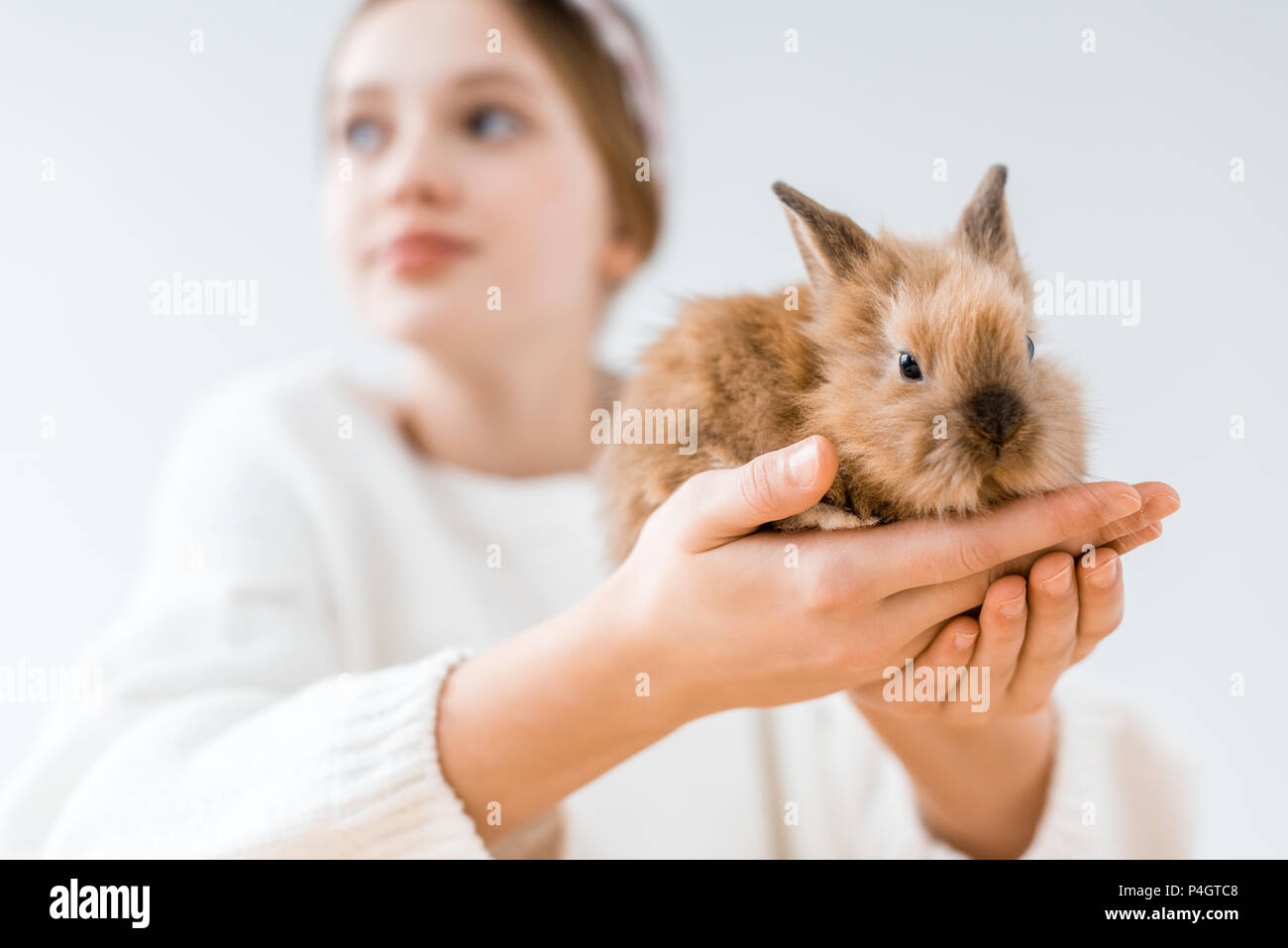 Cute furry rabbit hi-res stock photography and images - Alamy