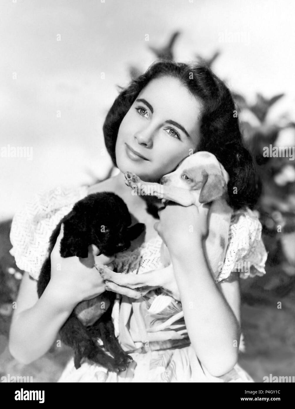 Original Film Title NATIONAL VELVET. English Title NATIONAL VELVET. Film Director CLARENCE