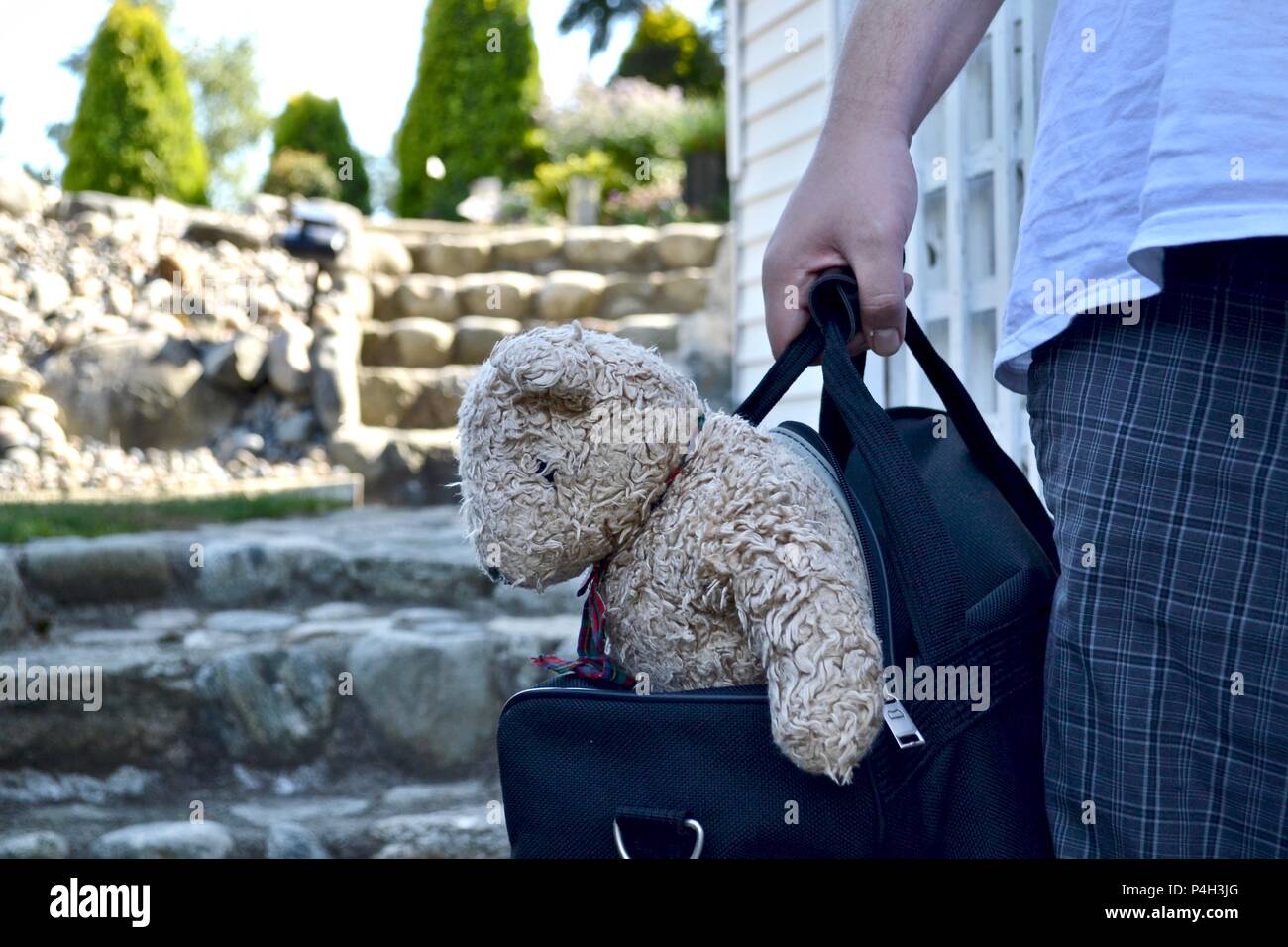 Well loved stuffed teddy bear sticking out of travel carry on bag carried by young adult caucasian male Stock Photo