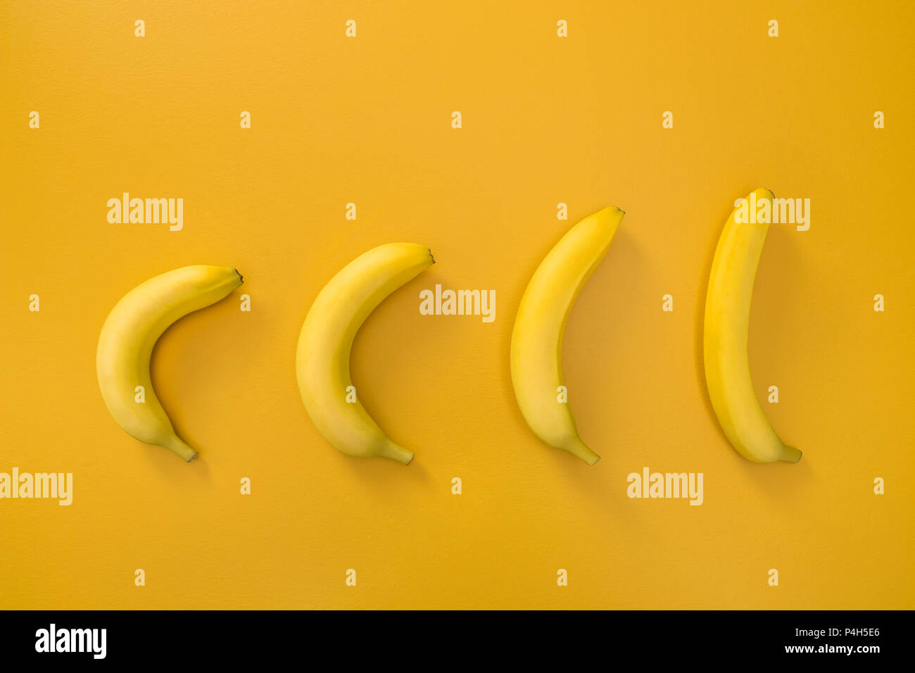 Bananas illustrating evolution theory, on vivid yellow background Stock  Photo - Alamy