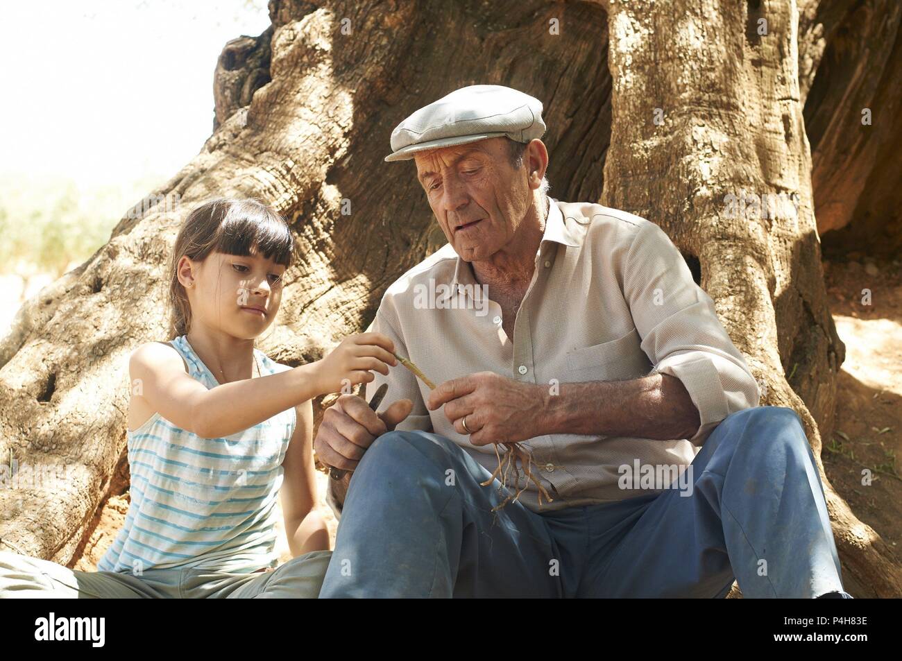 Original Film Title: EL OLIVO.  English Title: EL OLIVO.  Film Director: ICIAR BOLLAIN.  Year: 2016.  Stars: INES RUIZ; MANUEL CUCALA. Credit: MORENA FILMS/THE MATCH FACTORY / Album Stock Photo