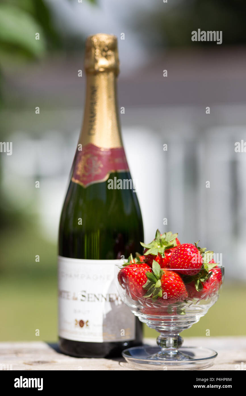 Close up glass dish of fresh strawberries & unopened bottle of champagne outdoors in a UK garden in the summer sunshine. Stock Photo