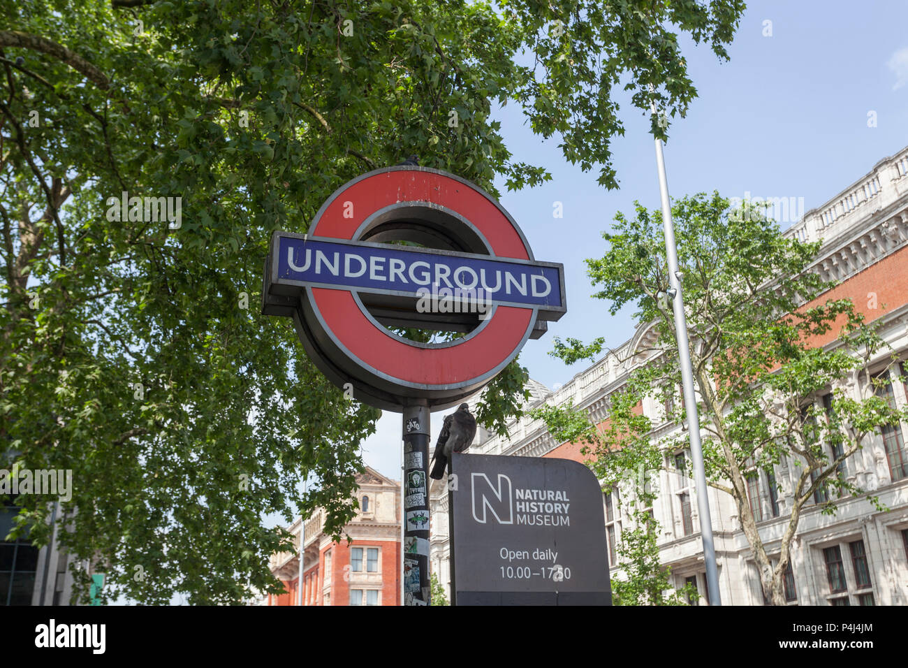 The London Underground sign near the Natural History Museum Stock Photo Alamy