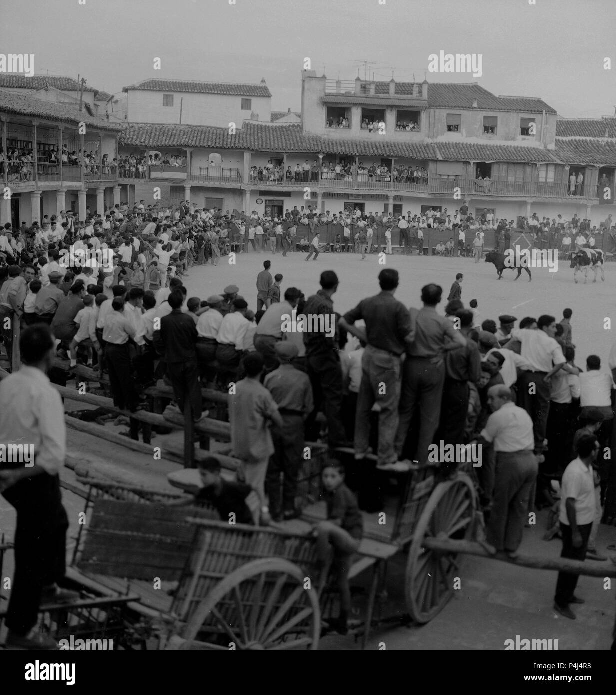 CORRIDA DE NOVILLOS EN LA PLAZA MAYOR DE COLMENAR DE OREJA - AÑOS 50 - ByN 40827. Location: HALLMARKT, MADRID. Stock Photo