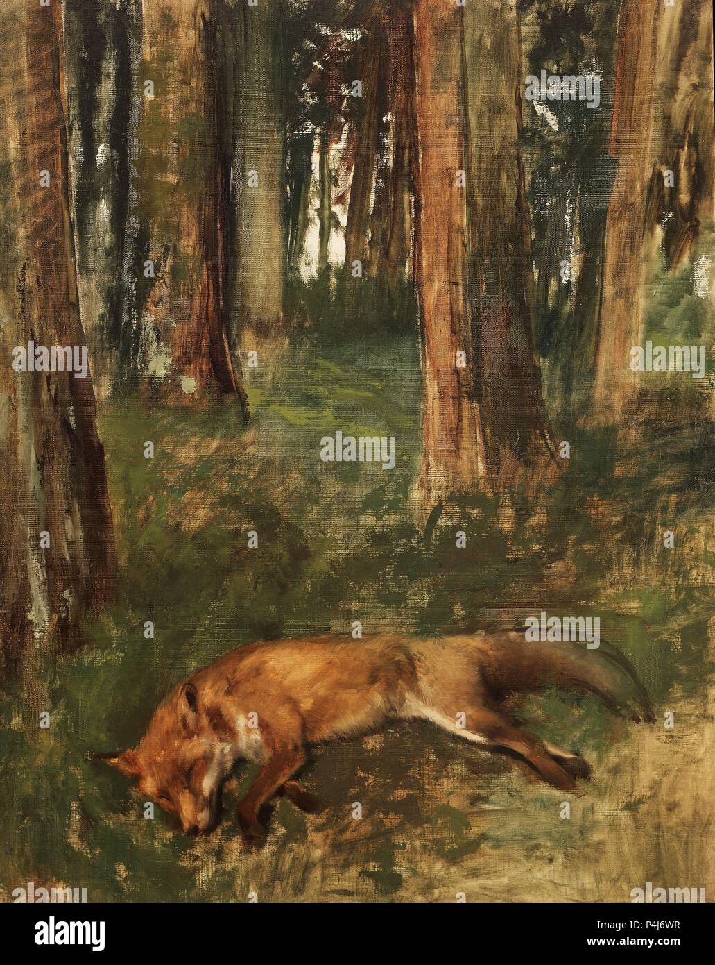 Dead fox lying in the Undergrowth - 1864/68 - 93x72 cm - oil on canvas. Author: Edgar Degas (1834-1917). Location: MUSEUM OF FINE ARTS, ROUEN, FRANCE. Also known as: ZORRO MUERTO, SOTOBOSQUE; RENARD MORT DANS LE SOUS-BOIS. Stock Photo
