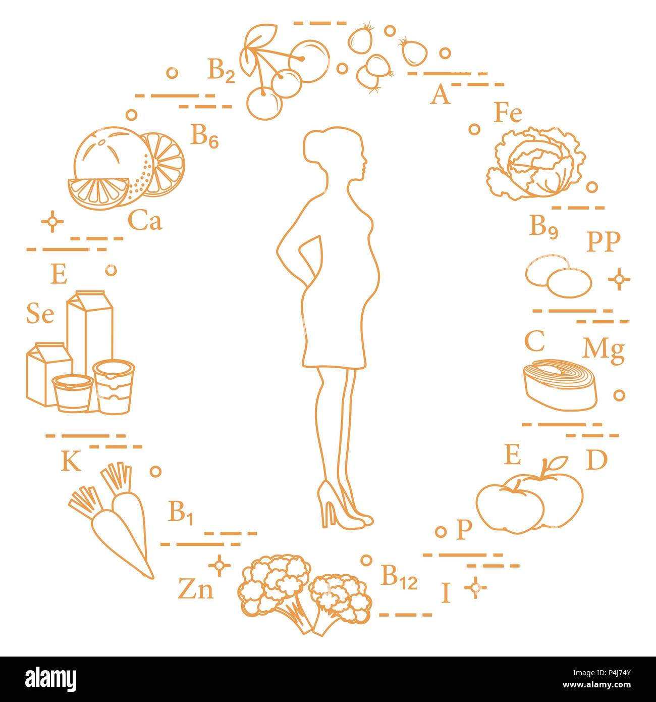 Pregnant woman and foods rich in vitamins useful for pregnant women. Rosehip, cabbage, olives, fish, apples, cauliflower, carrots, dairy products, ora Stock Vector