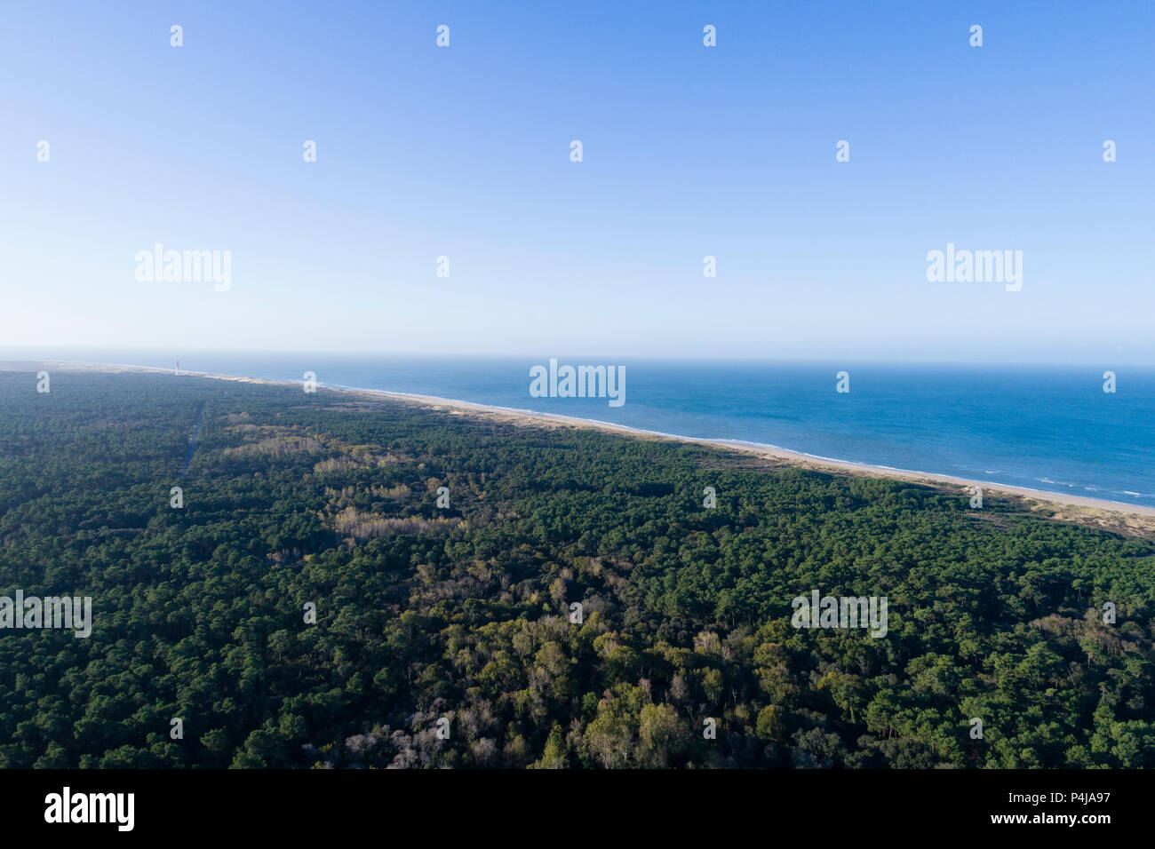 France, Charente Maritime, Cote de Beaute, Pointe de la Coubre, La Tremblade, sand dunes and the Cote sauvage (the Wild Coast) (aerial view) // France Stock Photo
