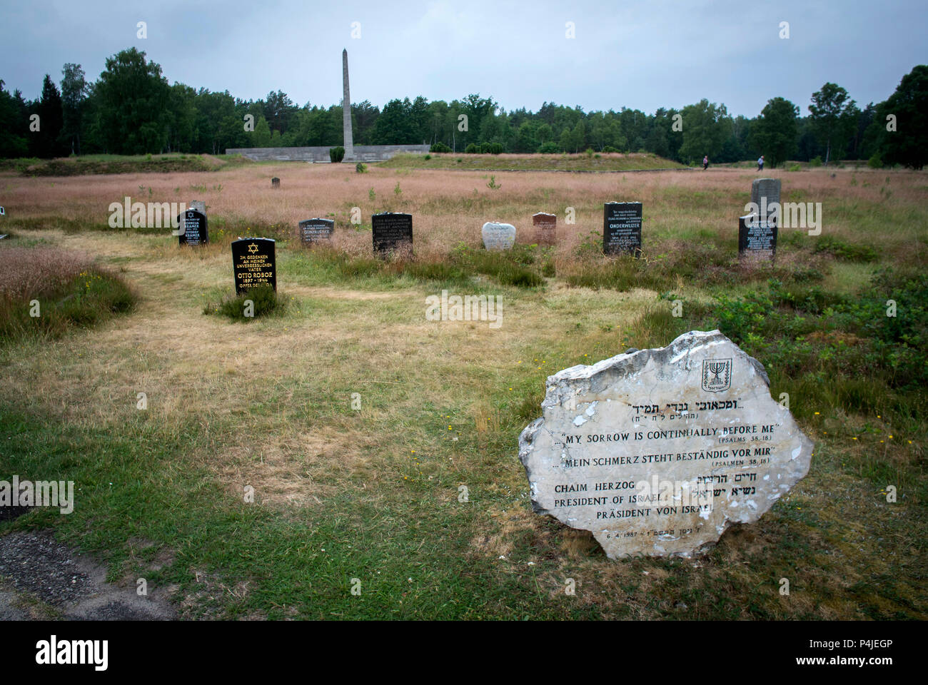 Graves In The Memorial Grounds Of Bergen Belsen Concentration Camp Stock Photo Alamy