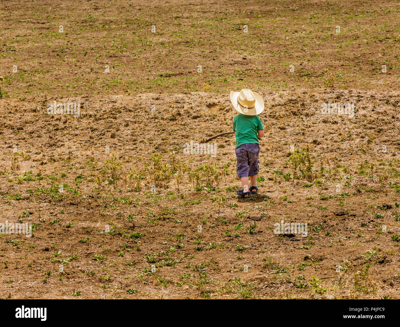 Child walking alone forest hi-res stock photography and images - Alamy