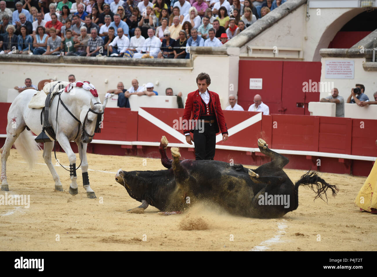 August 13, 2015 - Beziers, France: Spanish 'rejoneador' Pablo Hermoso de Mendoza, one of the most famous bullfighters on horseback, performs during a corrida in Beziers. Despite growing opposition from animal right groups, bullfighting remains popular in southern France. Bullfighting aficionados report that the practice is even more genuine in southern France than in neighboring Spain because bullfighting is being organized at a municipal level, by groups of people committed to the tauromachy traditions.  Corrida a cheval organisee dans le cadre de la feria de Beziers. Le maire de Beziers Robe Stock Photo