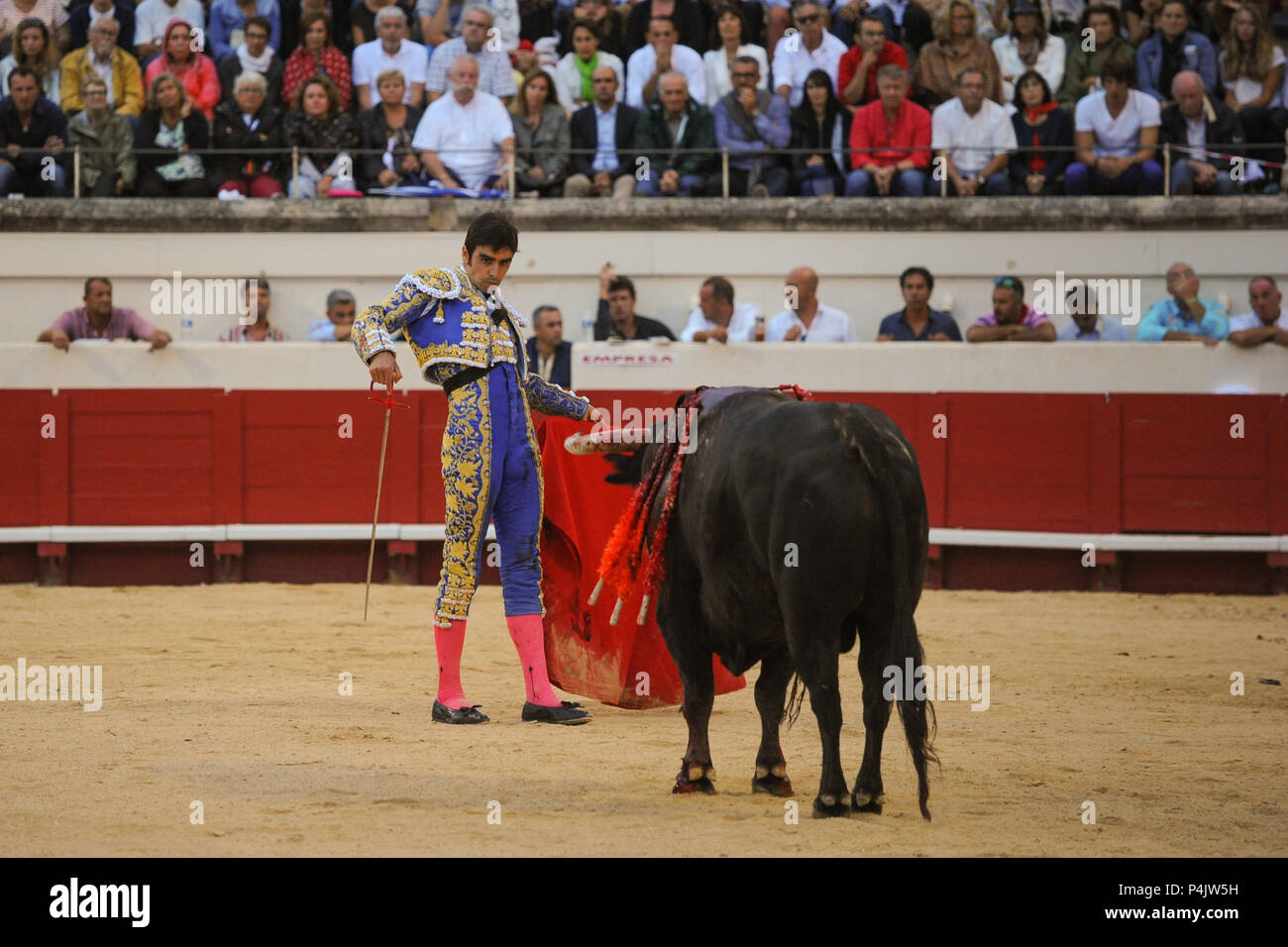 August 13 2015 Beziers France Spanish Matador Miguel Angel Perera Performs During A Corrida In Beziers Despite Growing Opposition From Animal Right Groups Bullfighting Remains Popular In Southern France Bullfighting Aficionados