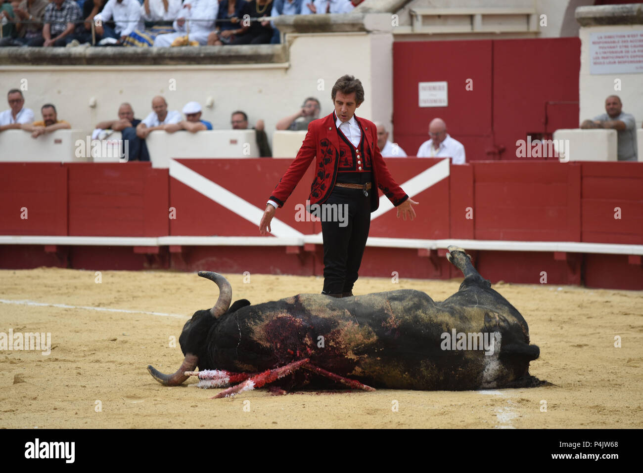 August 13, 2015 - Beziers, France: Spanish 'rejoneador' Pablo Hermoso de Mendoza, one of the most famous bullfighters on horseback, performs during a corrida in Beziers. Despite growing opposition from animal right groups, bullfighting remains popular in southern France. Bullfighting aficionados report that the practice is even more genuine in southern France than in neighboring Spain because bullfighting is being organized at a municipal level, by groups of people committed to the tauromachy traditions.  Corrida organisee dans le cadre de la feria de Beziers. Le maire de Beziers Robert Menard Stock Photo