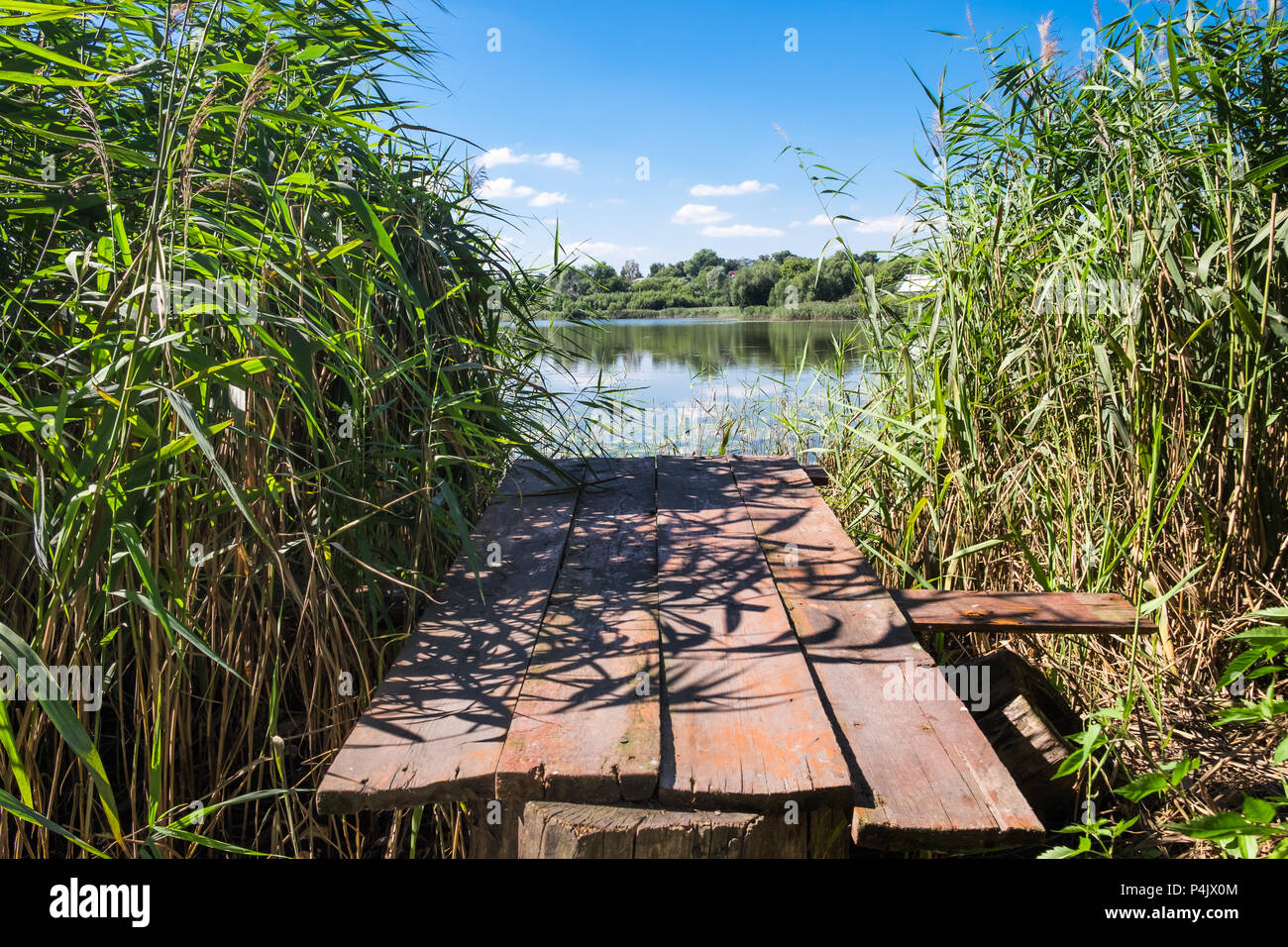 Old wooden bridge over the rural lake. Wild reeds on the lake edge. Small country houses among trees on distant side. Sunny summer day. Stock Photo
