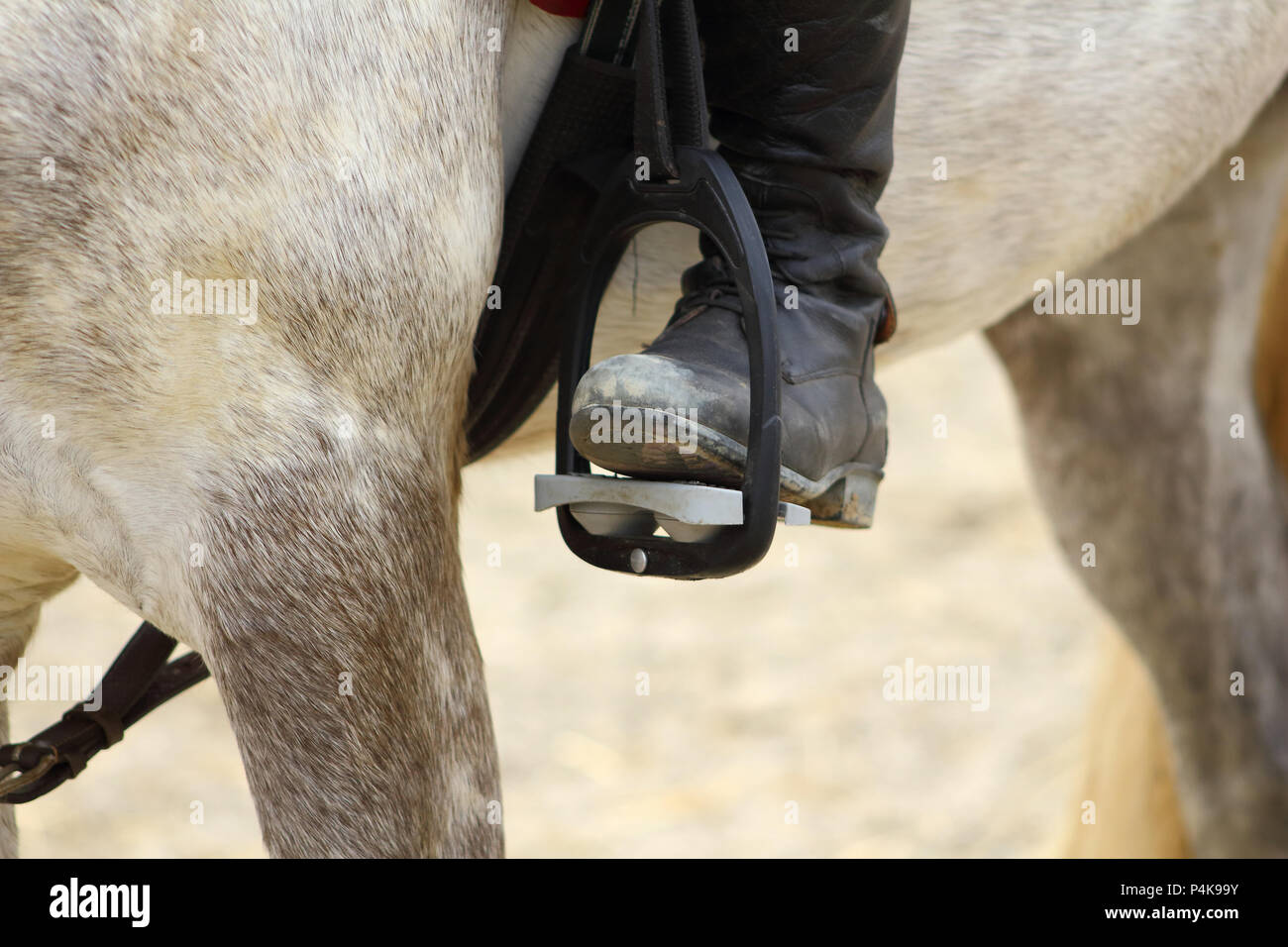 Stirrup leather hires stock photography and images Alamy