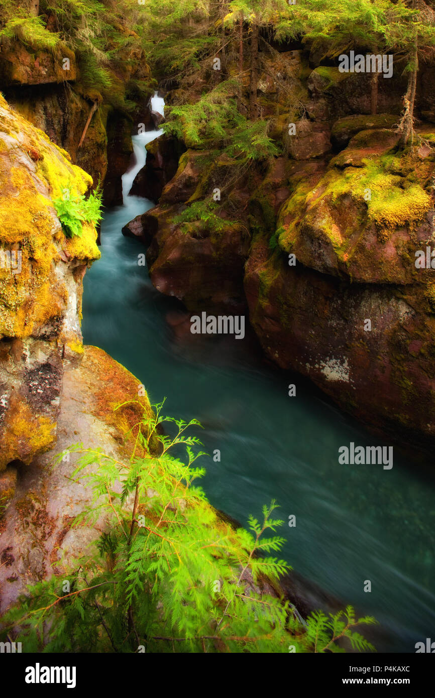 Avalanche Creek In Glacier National Park Montana USA Stock Photo Alamy avalanche-creek-in-glacier-national-park-montana-usa-stock-photo-alamy