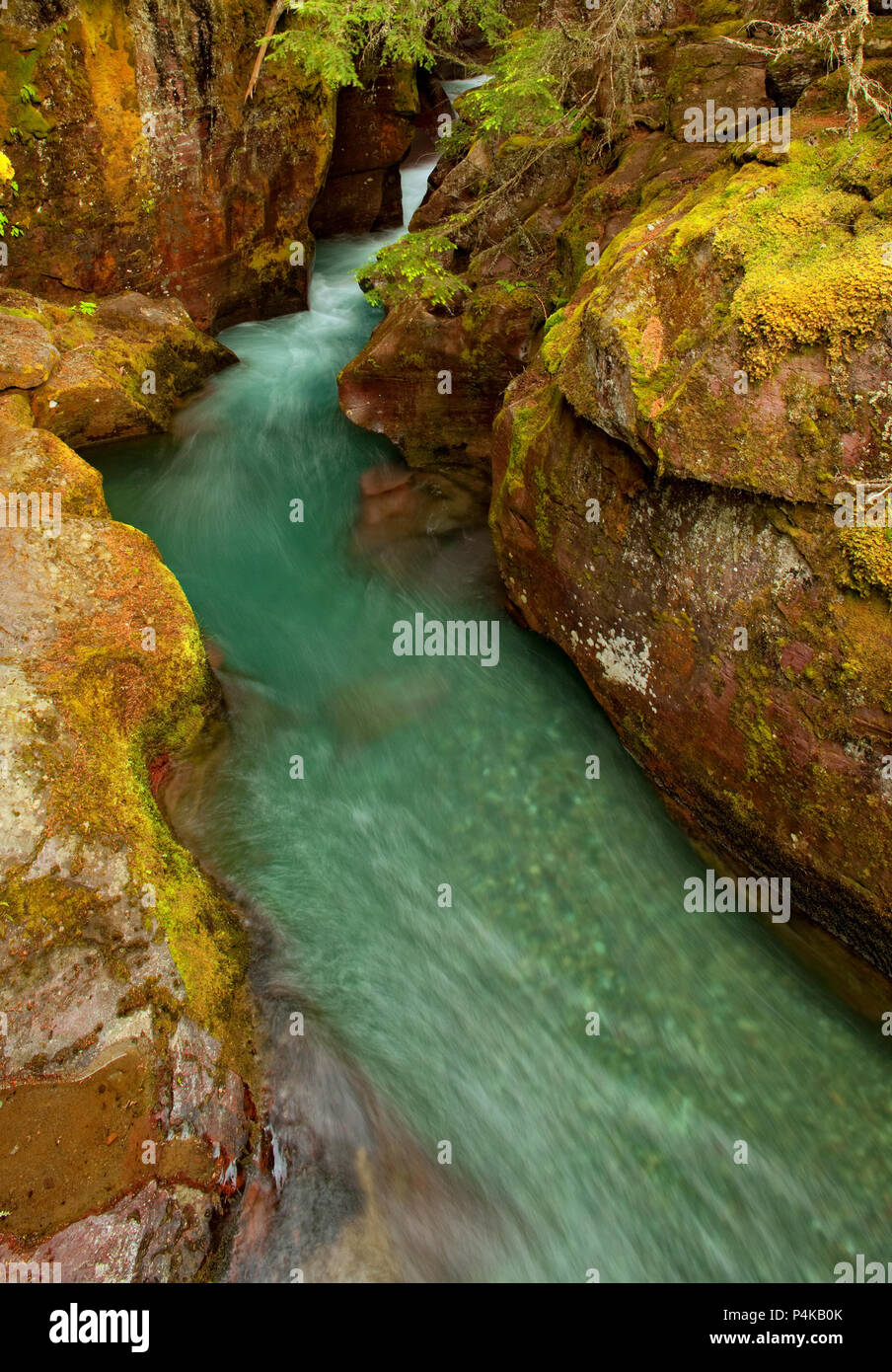 avalanche-creek-in-glacier-national-park-montana-usa-stock-photo-alamy