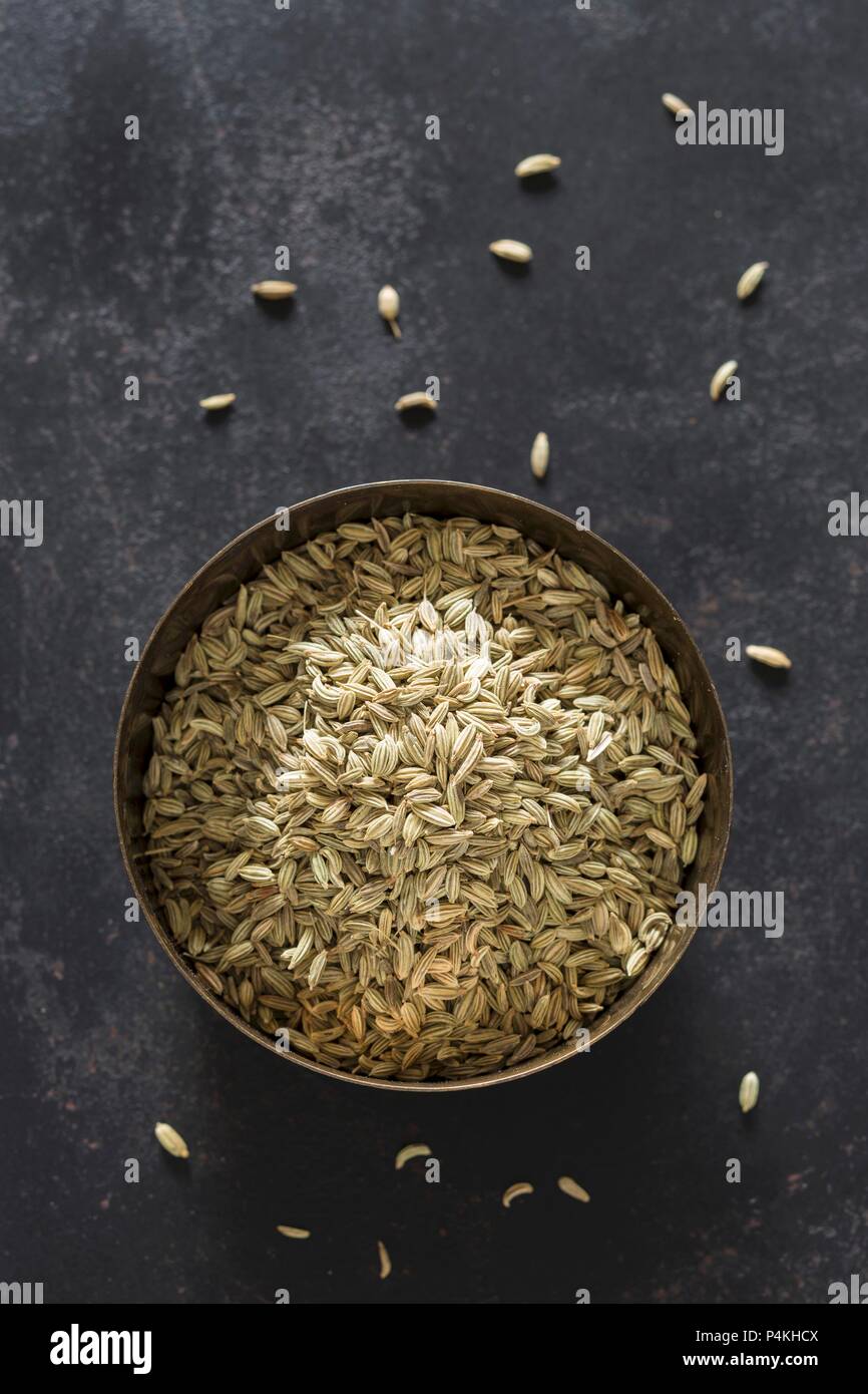 Bitter fennel hires stock photography and images Alamy