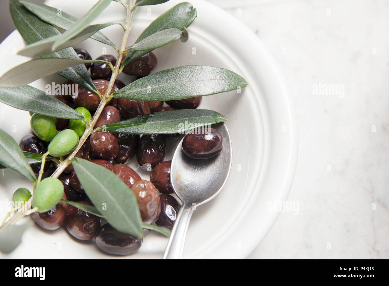 Olives in olive oil with an olive sprig Stock Photo