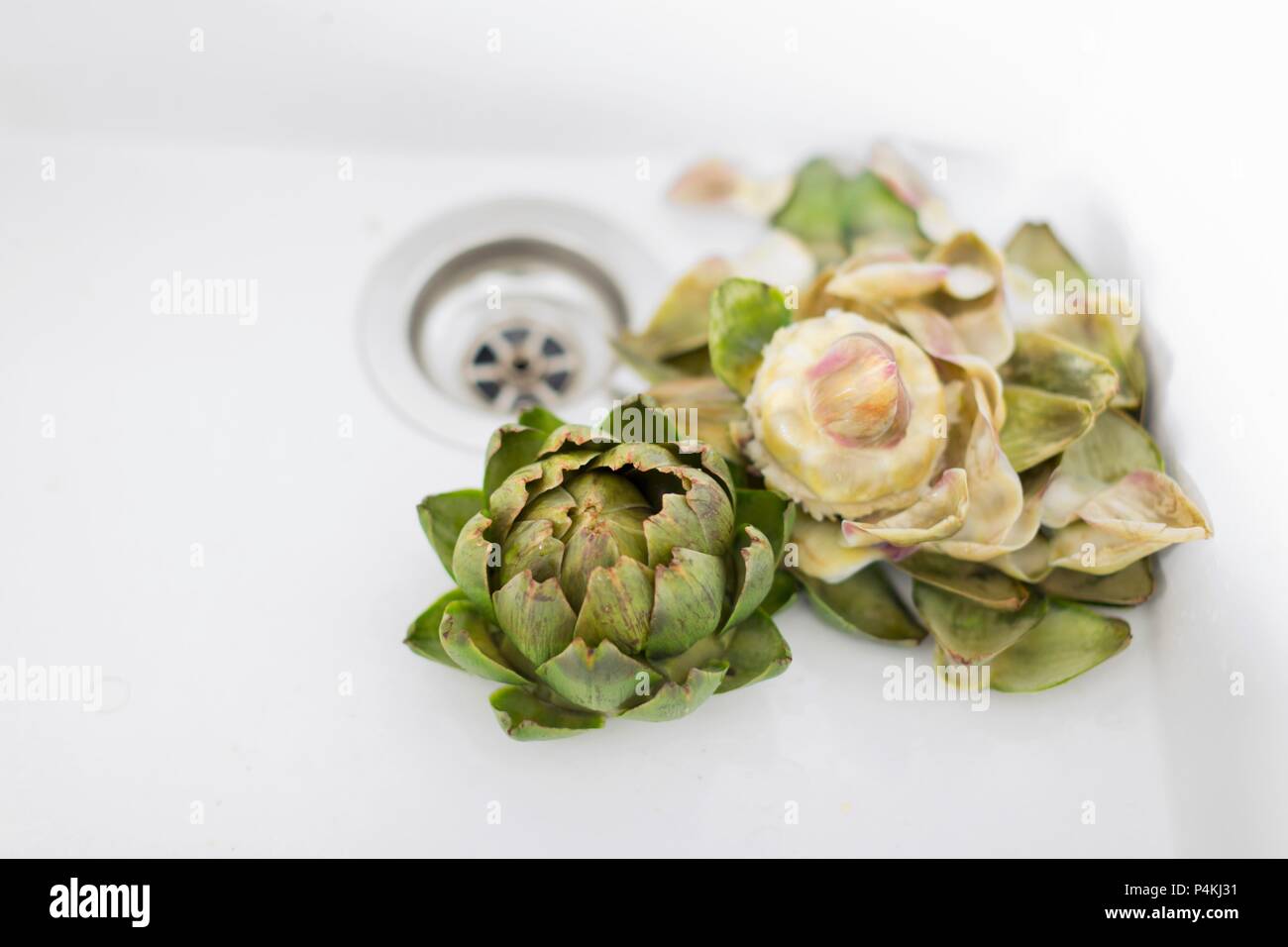 Two boiled artichokes in a ceramic sink Stock Photo Alamy